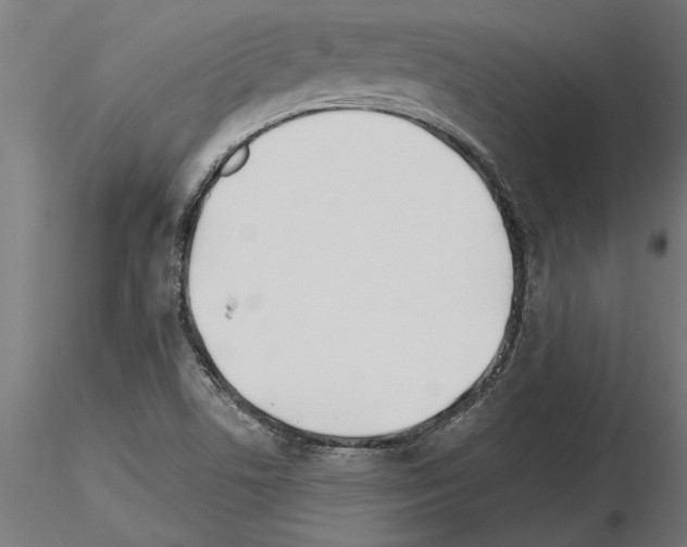 X0000115241506200912111042