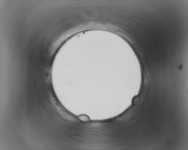 X0000115241507200912111042