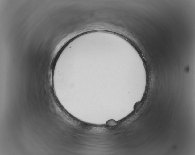 X0000115241509200912111042