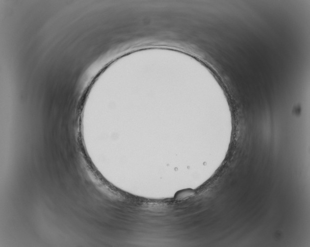 X0000115241511200912111042