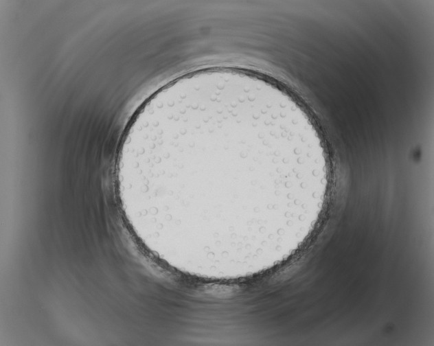 X0000115241513200912111042