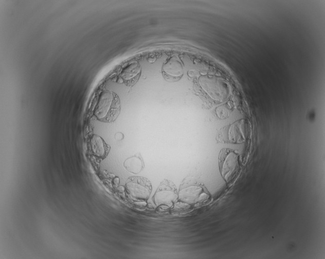 X0000115241514200912111042