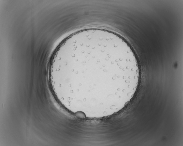 X0000115241515200912111042