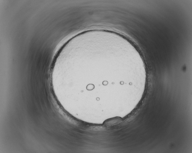 X0000115241517200912111042