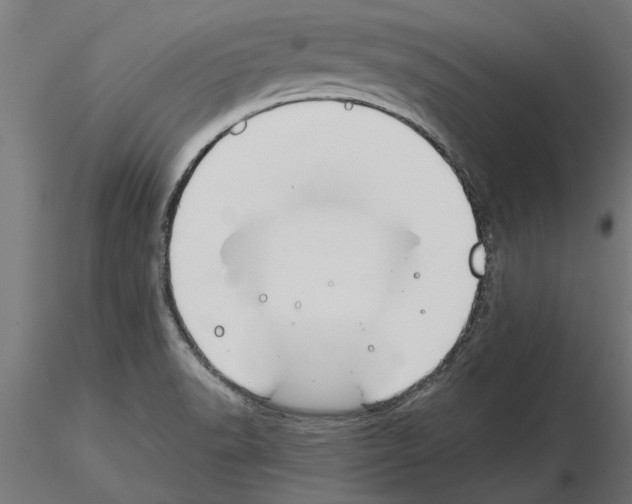 X0000115241518200912111042