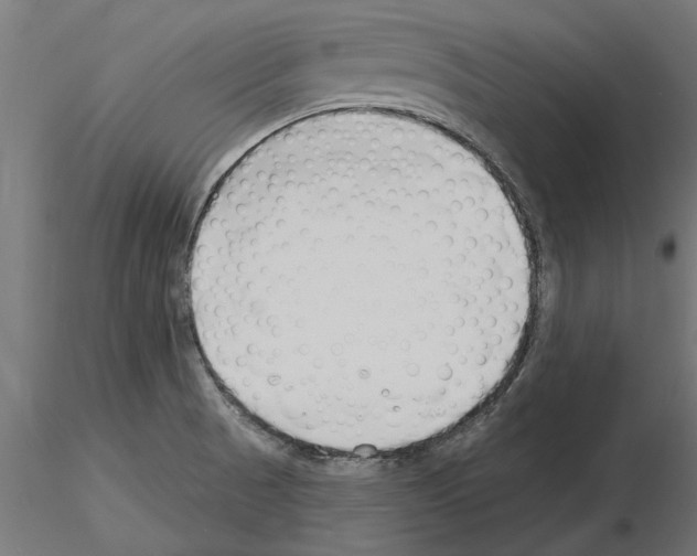 X0000115241521200912111042