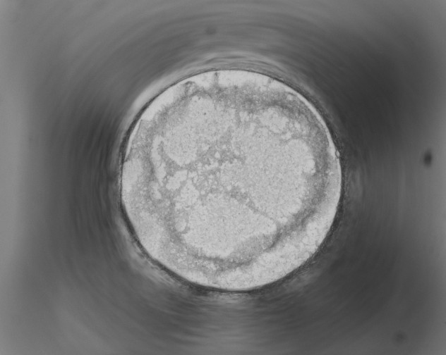 X0000115241522200912111042