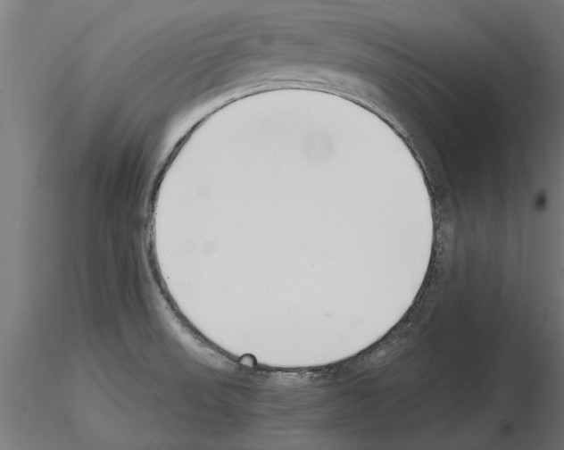 X0000115241523200912111042