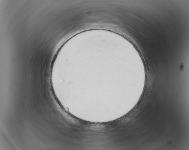 X0000115241525200912111042