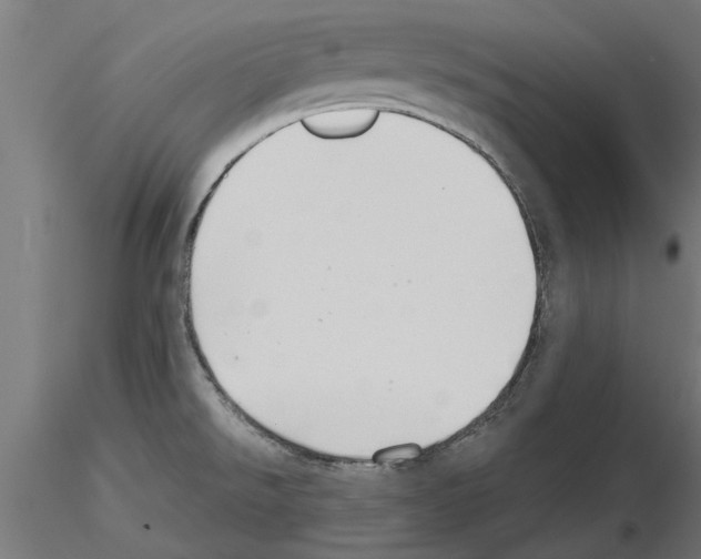 X0000115241526200912111042