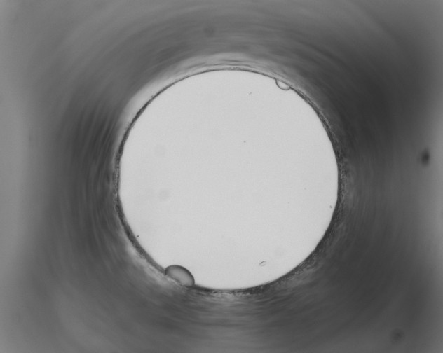 X0000115241527200912111042