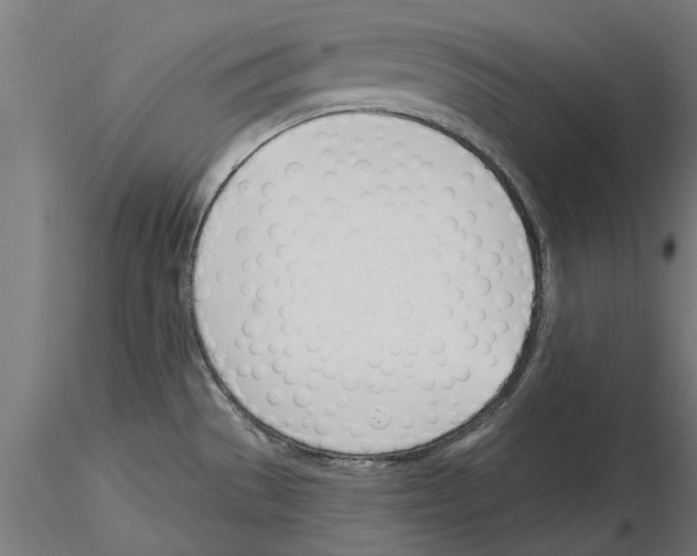 X0000115241529200912111042