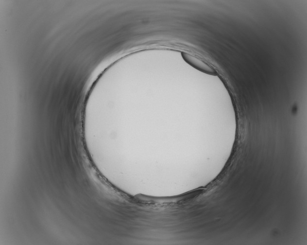 X0000115241530200912111042