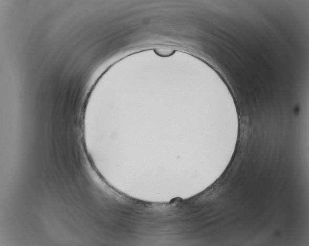 X0000115241531200912111042