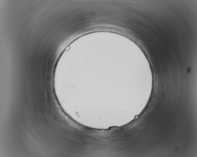 X0000115241533200912111042