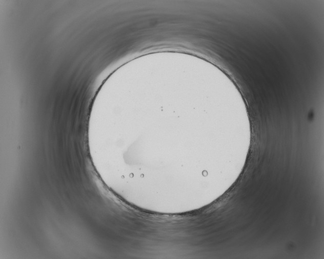 X0000115241534200912111042