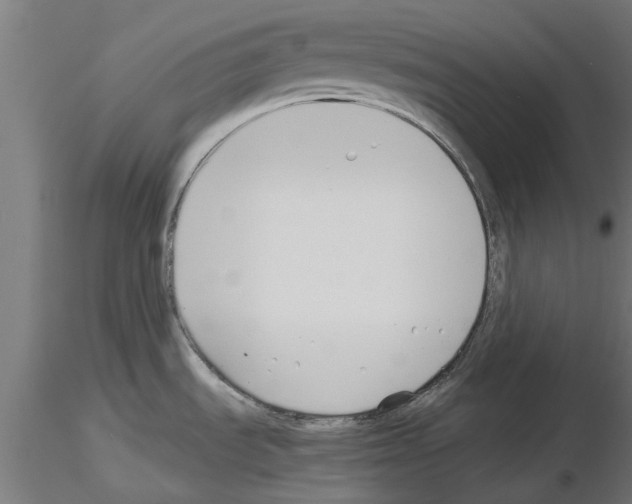 X0000115241535200912111042