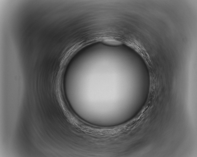 X0000115250001200911061228