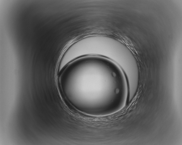 X0000115250003200911061228
