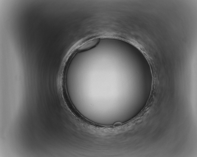 X0000115250007200911061228