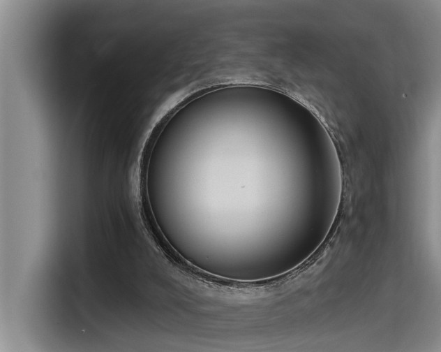 X0000115250008200911061228