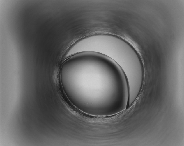 X0000115250009200911061228