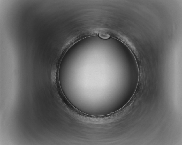 X0000115250010200911061228
