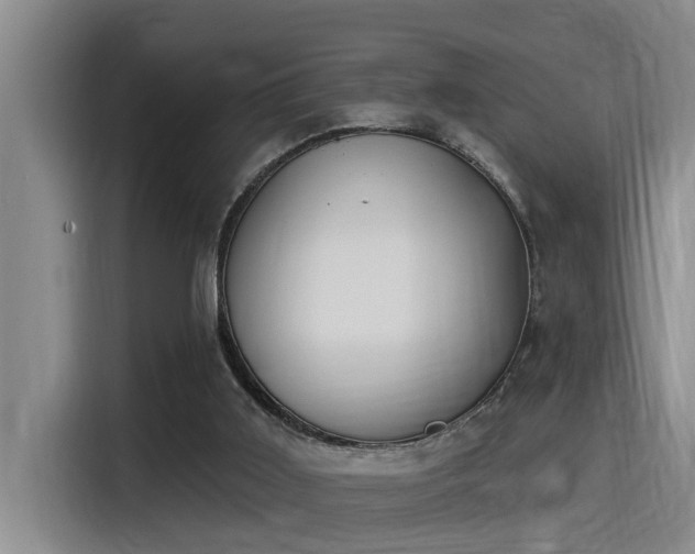 X0000115250011200911061228