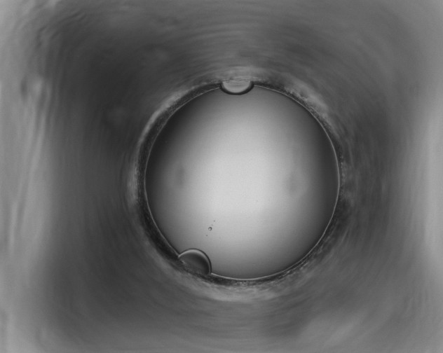 X0000115250012200911061228