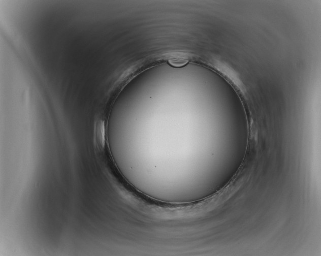X0000115250013200911061228