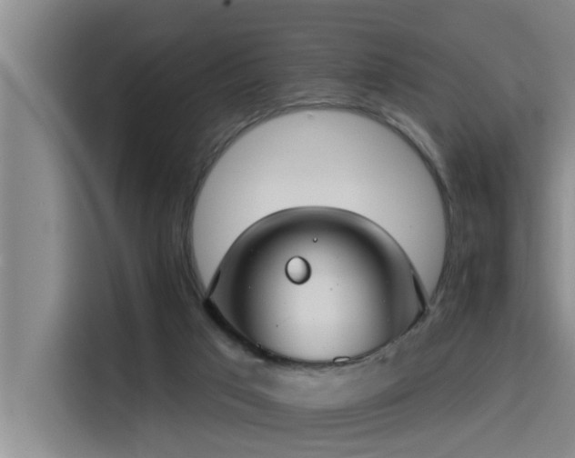 X0000115250017200911061228