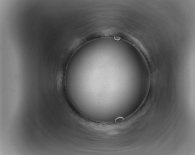 X0000115250018200911061228