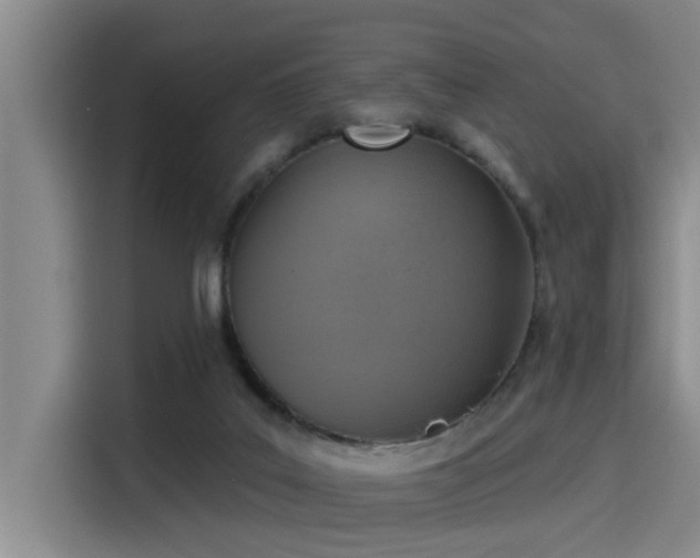 X0000115250019200911061228