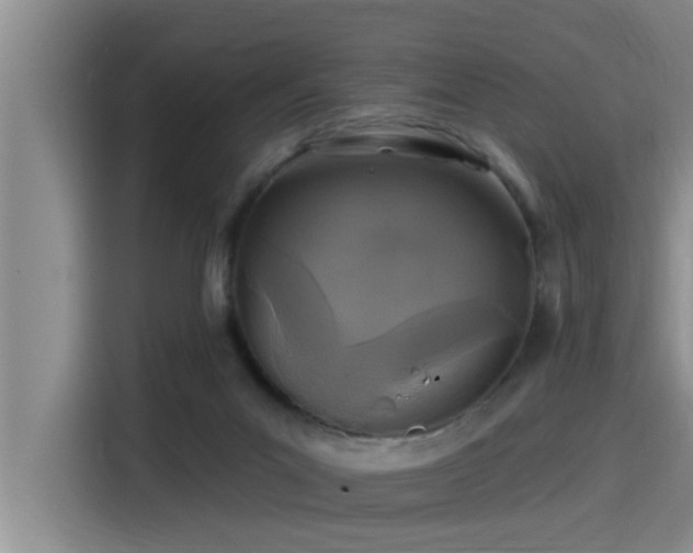 X0000115250023200911061228