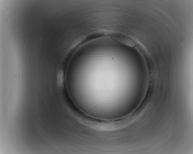 X0000115250024200911061228