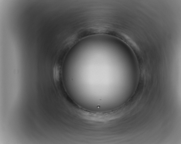 X0000115250026200911061228