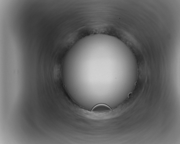 X0000115250034200911061228