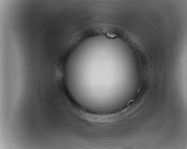 X0000115250040200911061227