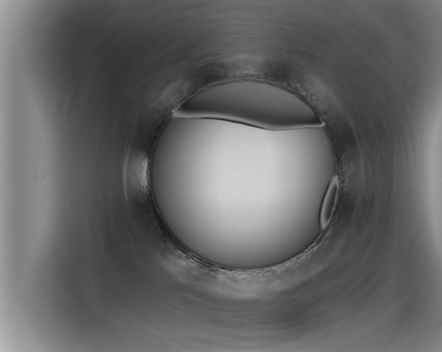 X0000115250041200911061227