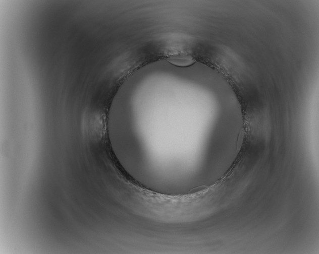 X0000115250043200911061227