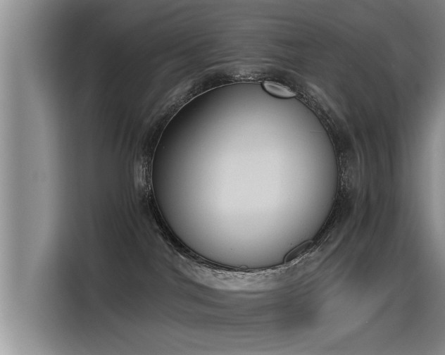 X0000115250044200911061227