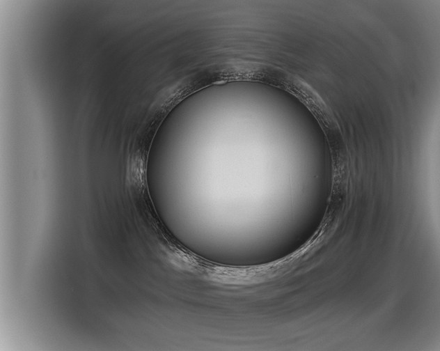 X0000115250045200911061227