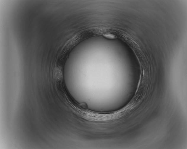 X0000115250048200911061227