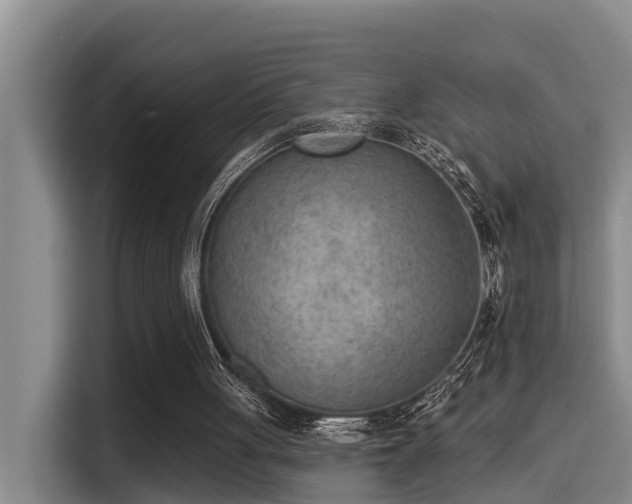 X0000115250051200911061227