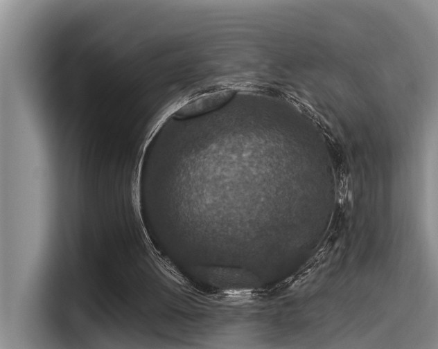 X0000115250052200911061227