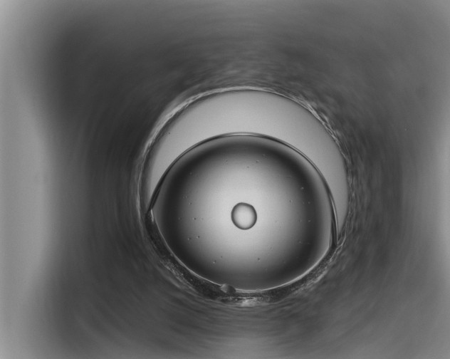 X0000115250056200911061227