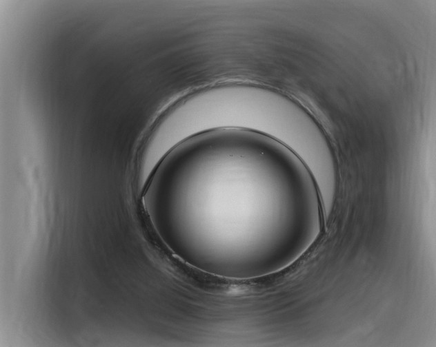 X0000115250060200911061227