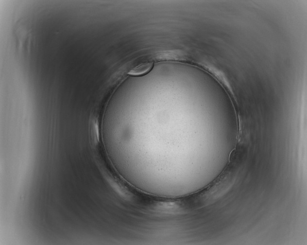 X0000115250061200911061227