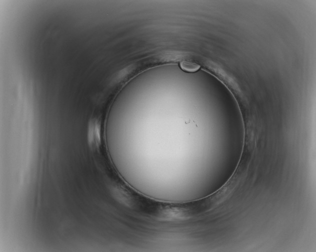 X0000115250062200911061227