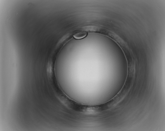 X0000115250064200911061227